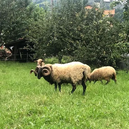 La Casona Del Xerron Dom wakacyjny El Condado